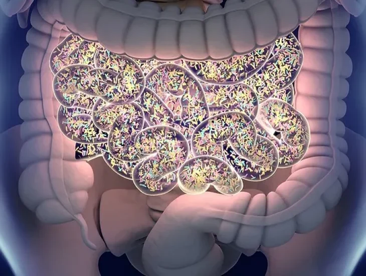 Understanding the link between your family of trillions, and Celiac Disease